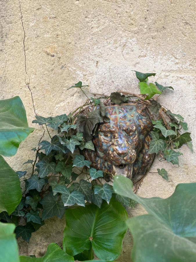 Face Au Palais Bed and Breakfast Αβινιόν Εξωτερικό φωτογραφία
