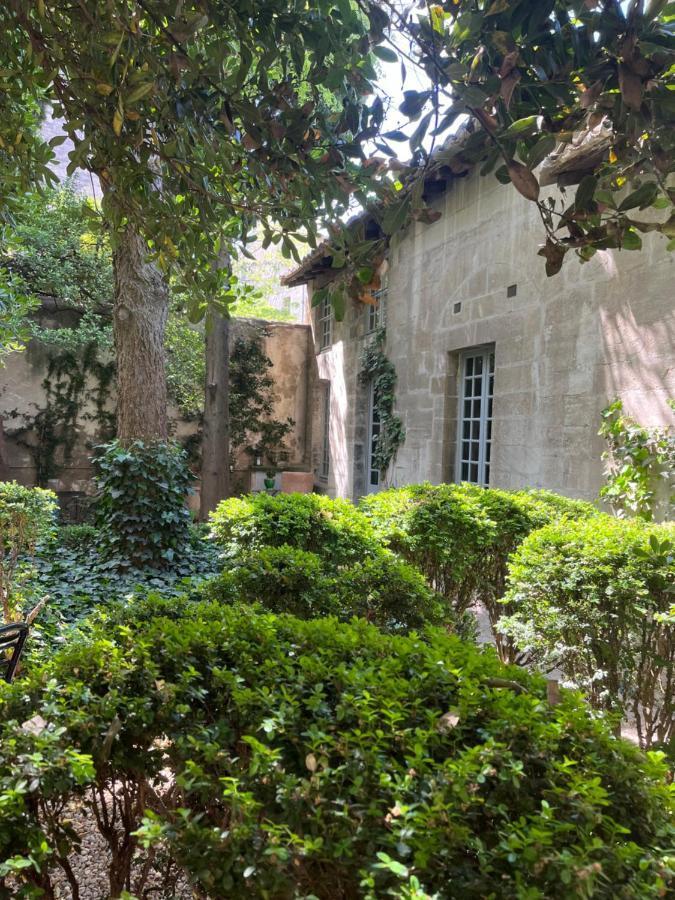 Face Au Palais Bed and Breakfast Αβινιόν Εξωτερικό φωτογραφία