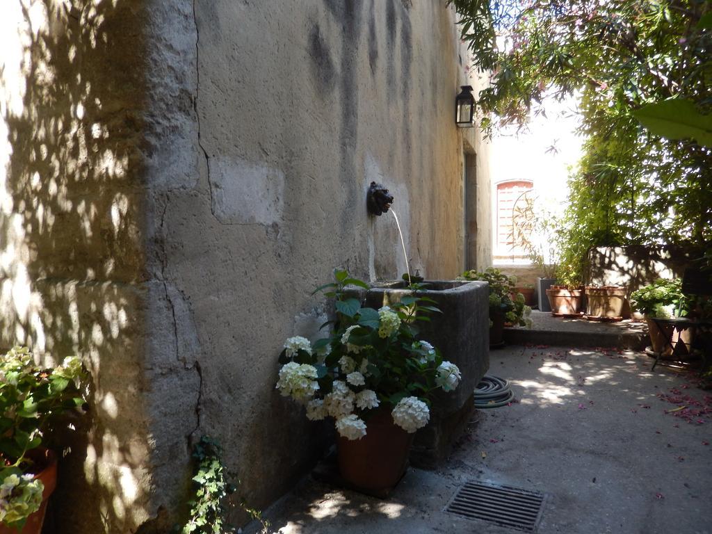 Face Au Palais Bed and Breakfast Αβινιόν Εξωτερικό φωτογραφία