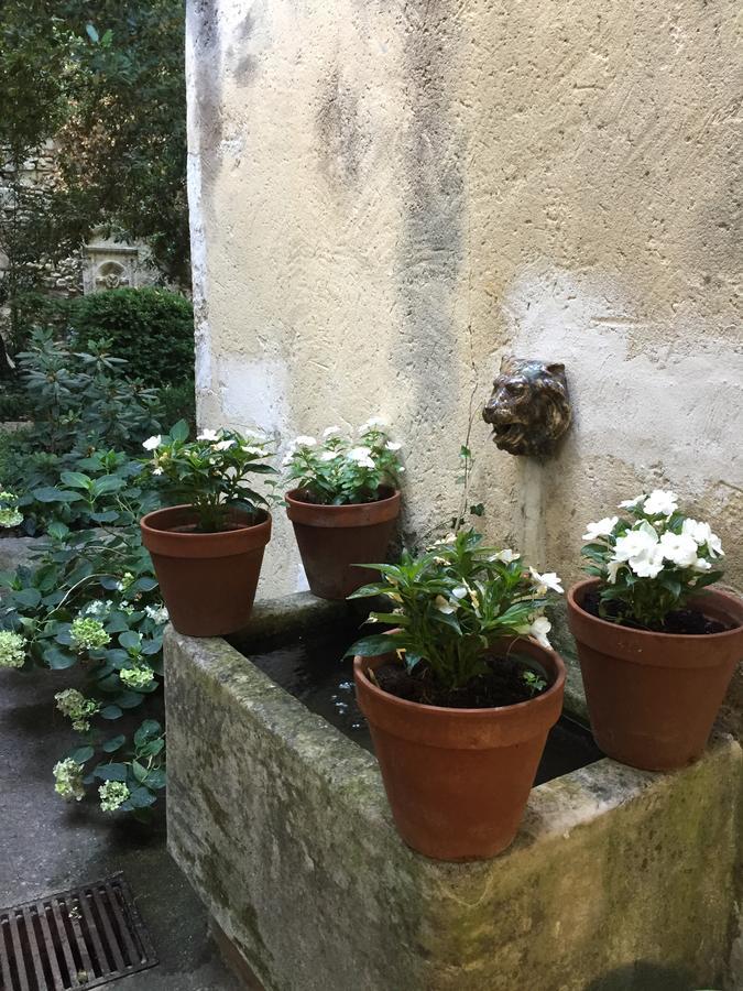 Face Au Palais Bed and Breakfast Αβινιόν Εξωτερικό φωτογραφία