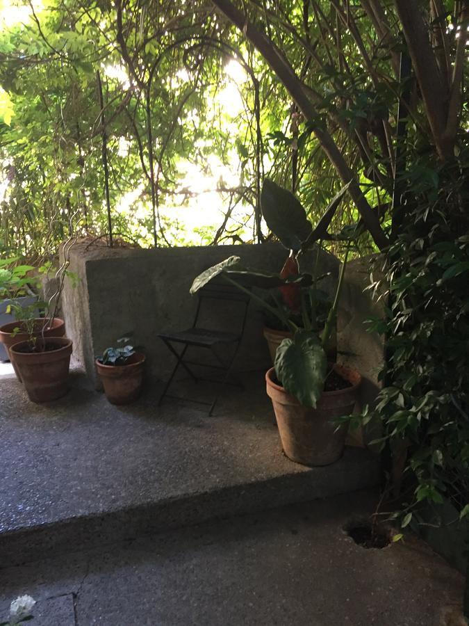 Face Au Palais Bed and Breakfast Αβινιόν Εξωτερικό φωτογραφία